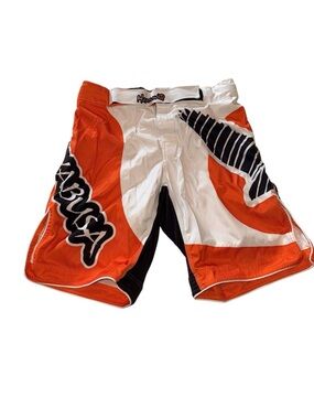 Hayabusa Hexagon MMA Boxing Muay Thai BJJ Fighter Board Shorts Sz 34